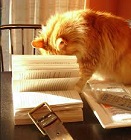 Celebrate Great Books Week October 2-8