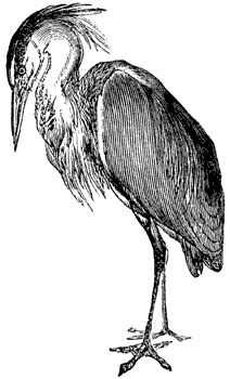 http://etc.usf.edu/clipart/