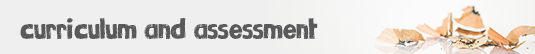 Curriculum and Assessment