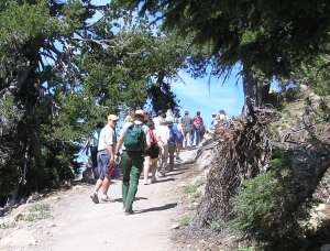 Teachers experience Crater Lake curriculum