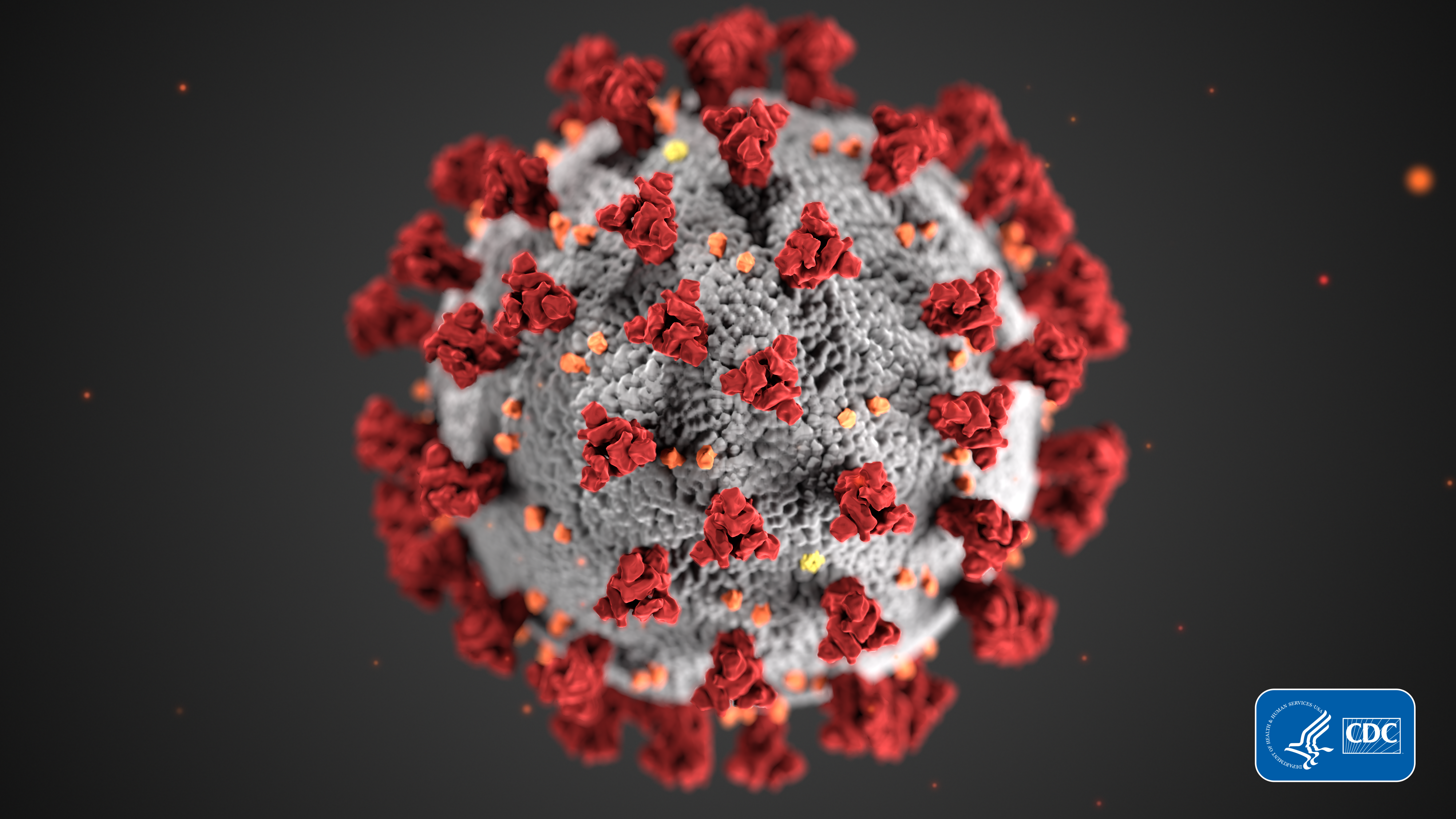 Coronavirus Disease 2019 (COVID-19)