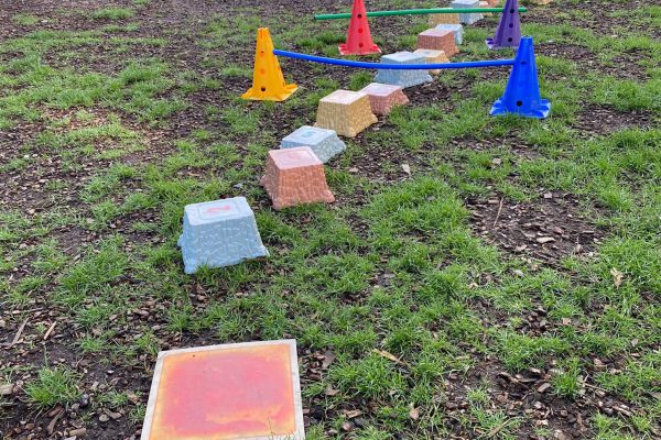 Ivy Outdoor Obstical Course - Britt Zimmerman